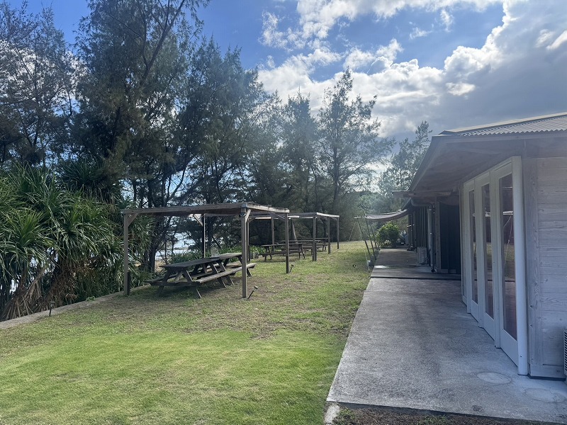 ��`����3�����r�[�`�ڑO(^^��@�ؑ����ƂR��('��')�m