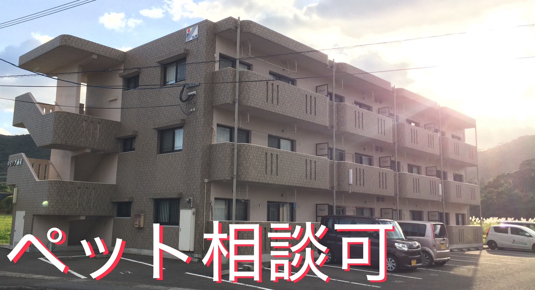 �y�b�g���k��(#^.^#)�QDK&nbsp;&nbsp;�������叟&nbsp;&nbsp;&nbsp;���ԏ�1�䖳����